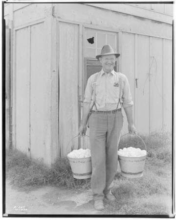 P2 - Poultry - Mr. Logan