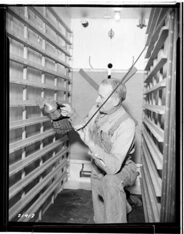 P2 - Poultry - Poultry Book