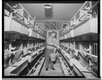 Poultry Book - Busse Ranch