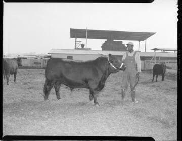 Valley View Stock Farm