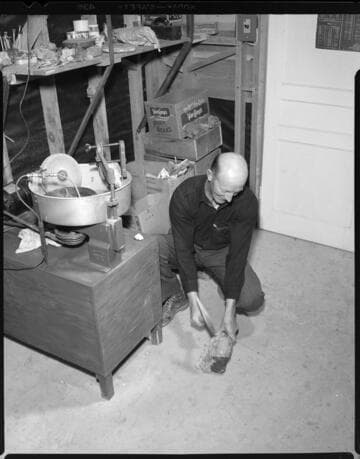 Rock collectors and lapidary art with 6 variants