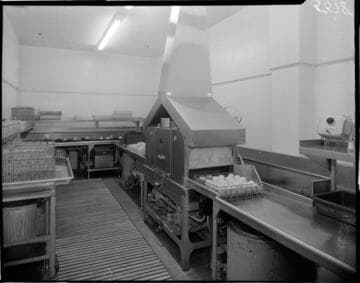 Electric dishwasher in commercial kitchen