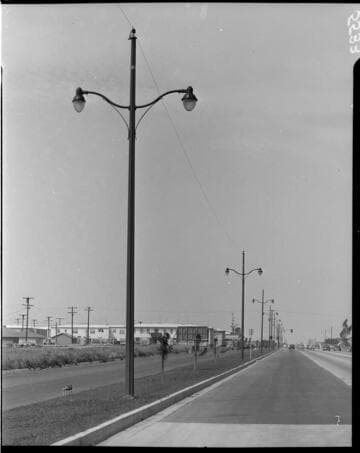 Street Lights down a divided highway