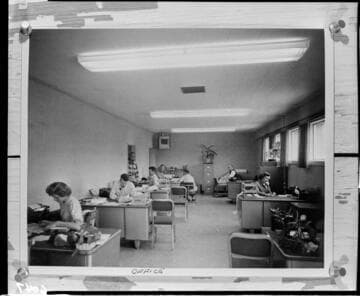 Office staff at their desks