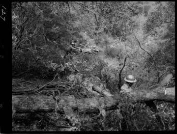 Big Creek - Mammoth Pool - Clearing right-of-way from Mammoth Pool Powerhouse to Powerhouse #8