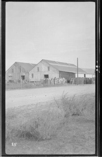 Three-quarters view of packing houses in Porterville, November 30, 1904