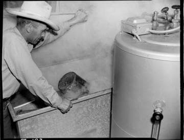 Dairy Booklet photos