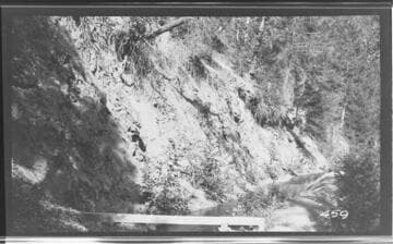 Stream in the forest