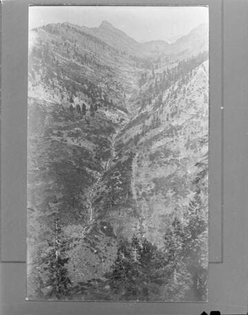 View of Monarch Creek running through the mountains at Mineral King