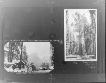 Pinehurst, CA near Vincent line.  ; "General Sherman" Sequoia National Forest