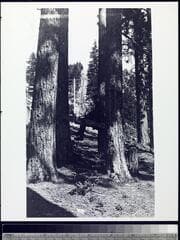 Go to image 4.