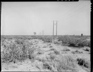 Permanente Line Poles