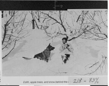 Edith, apple trees and snow behind the Big Creek house