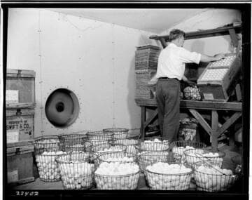 P2 - Poultry - Fontana Farms, Fontana