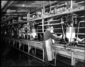 Agriculture