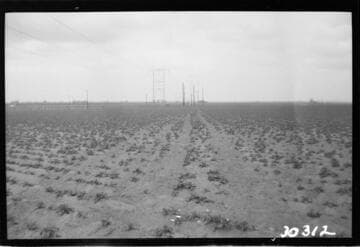 Vincent Transmission Line