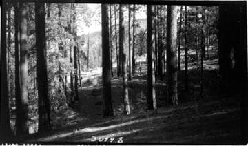 Big Creek, Mammoth Pool