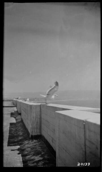 Redondo Beach Steam Station - Plant #1