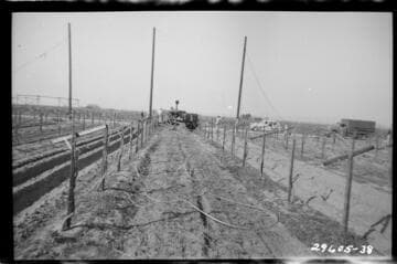 Magunden-Mesa Transmission Line