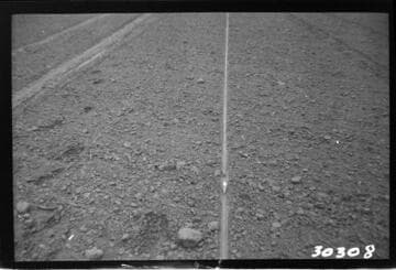 Vincent Transmission Line