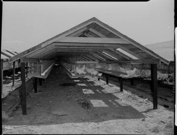 J. Robert Lawson poultry ranch