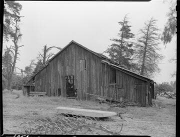 General Miscellaneous