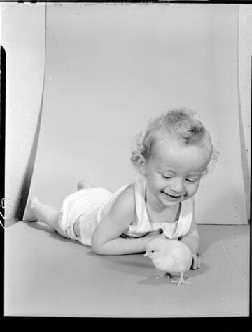 Robert Lyon's baby and chick for Electric Times cover (unused)