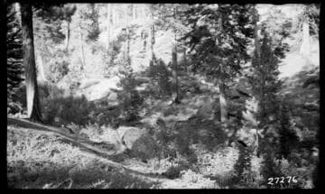 Big Creek, Fish Valley