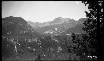 Big Creek, Fish Valley