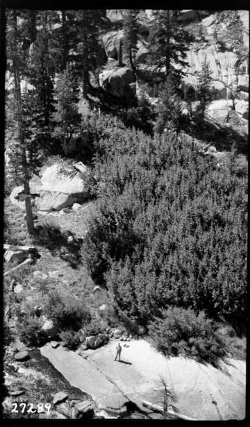 Big Creek, Fish Valley - Left abutment