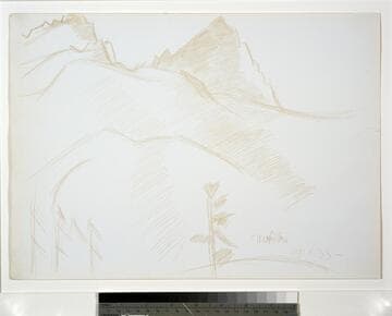 Mountain Landscape with Pine Trees