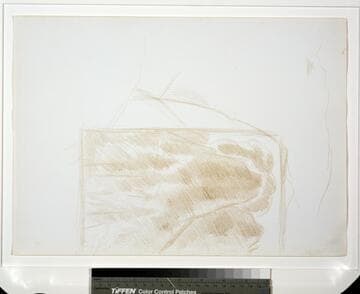 Mountain Landscape with Pine Trees