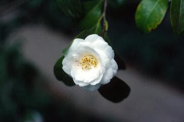 Go to image 2.