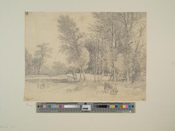 Landscape with Cattle