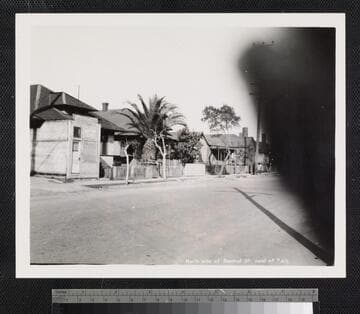 North side of Bauchet St. east of # 415