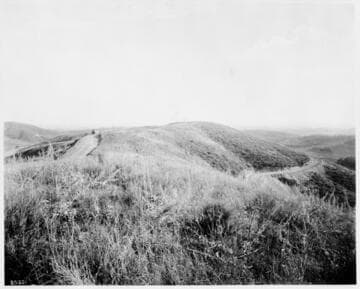 Los Angeles, Elysian Park