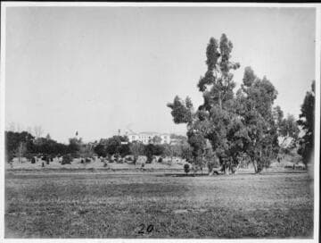 Pasture land south of the Huntington residence, circa 1911