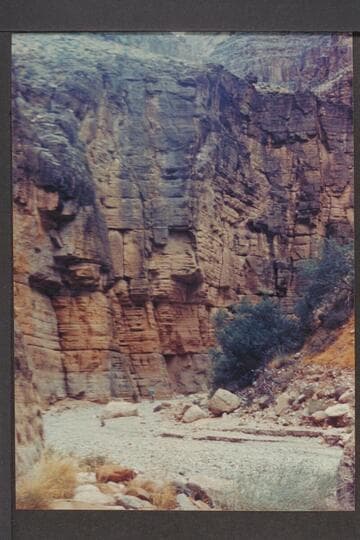 Lower end of long narrows in Separation Canyon