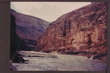 Houserock Rapid