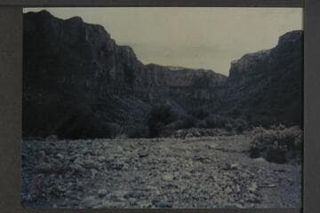 Robbers Roost; main arm.  Tributary of Diamond Creek
