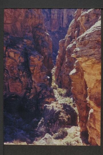 Moqui Trail through Coconino; north end of Moqui Canyon; Supai