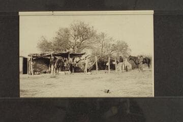 The Salada- Cattle-camp on the lower Hardy