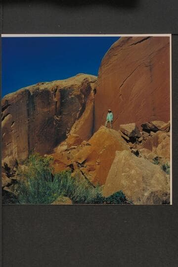 Aleson on rock back of point of dredge assembly