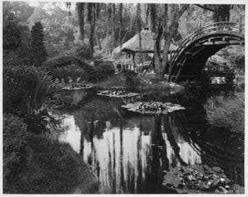 Drum bridge in the Japanese garden, circa 1918