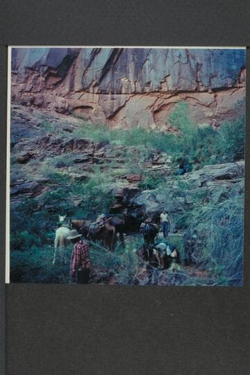 Removing saddles at Melody or Melodic Spring.  Mile 1, left bank, San Juan River