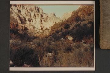 Spring canyon above upper spring