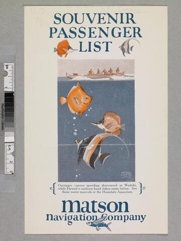 Souvenir passenger list
