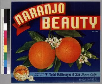 Naranjo beauty brand
