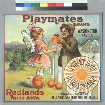 Playmates brand