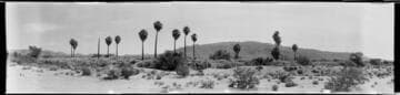Palm Desert, Riverside County. April 17, 1923
